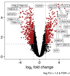 Transcriptomics 2